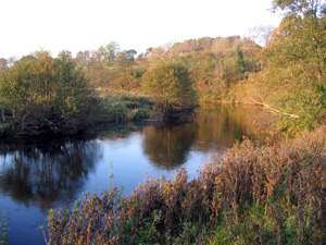 River Eden