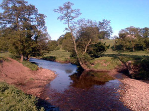 River Belah