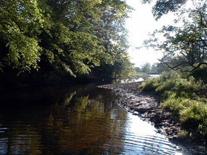 River Belah