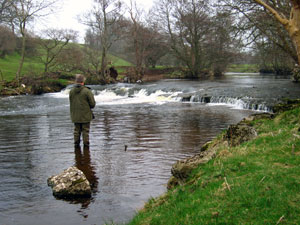 River Eden