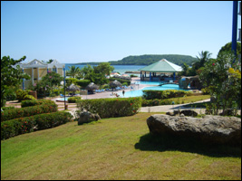 Brasshopper in the Dominican Republic 2006