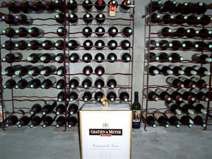 Brasshopper in France 2005