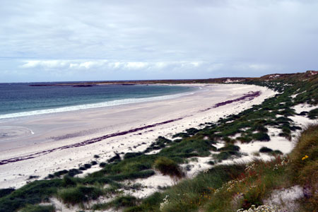 Brasshopper in the Hebrides