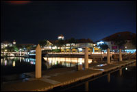 Brasshopper in Malaysia in 2007
