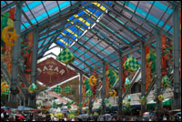 Brasshopper in Malaysia in 2007