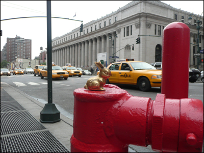 Brasshopper in New York 2008