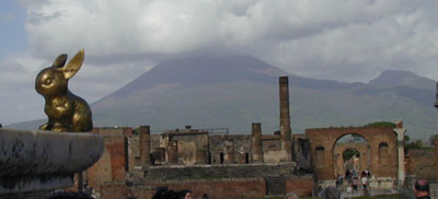 Brasshopper in Pompeii, Italy 2002