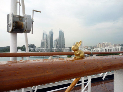 Brasshopper in Singapore