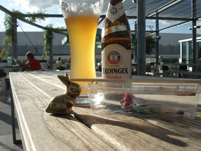 Brasshopper in Switzerland July 2009