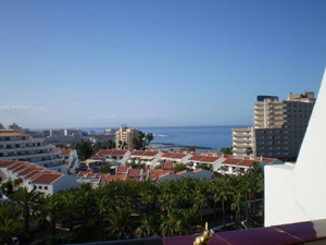 Brasshopper in Tenerife 2008
