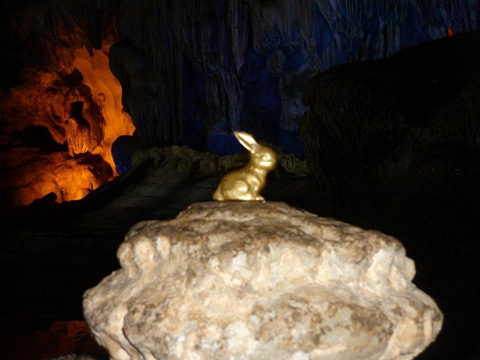 Brasshopper in cave in Halong Bay, Vietnam