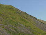 Ravenstonedale Gathering