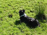Ravenstonedale Gathering