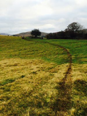 Fell End Broadband. Trenching Fell End Broadband. Trenching