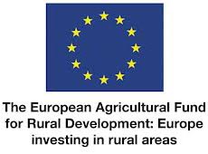 Logo. European Development Project Logo. European Development Project