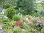 Ravenstonedale garden trail