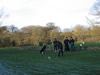 Ravenstonedale Golf