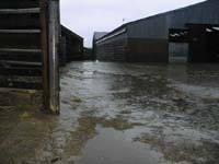 Farm