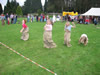 May Day