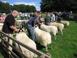 Ravenstonedale Show 2005