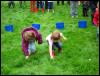 Ravenstonedale Agricultural Show 2006