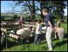 Ravenstonedale show 2008