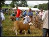 Ravenstonedale show 2008