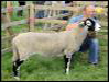 Ravenstonedale show 2008