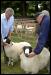 Ravenstonedale show 2008