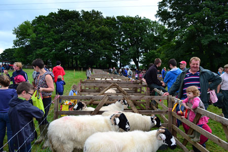 Ravenstonedale agricultural show 2012