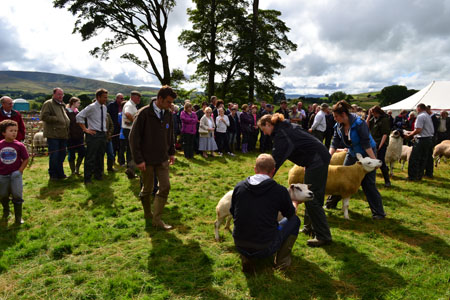 Ravenstonedale agricultural show 2012