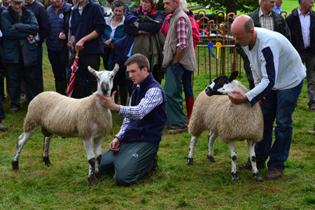 Ravenstonedale agricultural show 2012