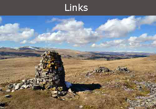 links to local websites