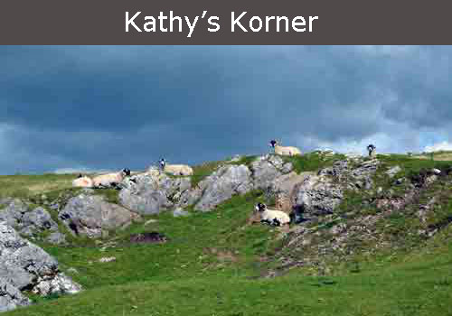 kathy's korner